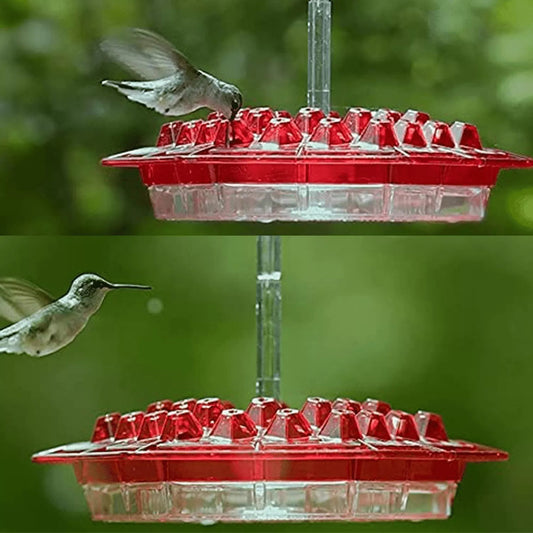Hummingbird Feeder with Built-in Ant Moat - 30 Feeding Ports, Bee-Proof Design | Perfect Gift for Bird Lovers