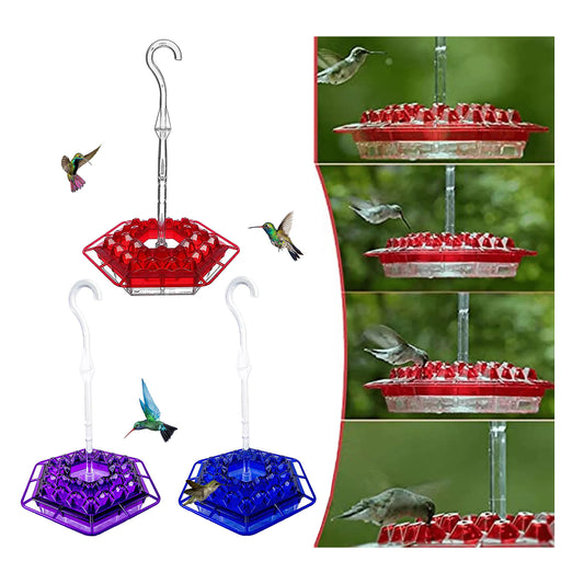 Hummingbird Feeder with Built-in Ant Moat - 30 Feeding Ports, Bee-Proof Design | Perfect Gift for Bird Lovers