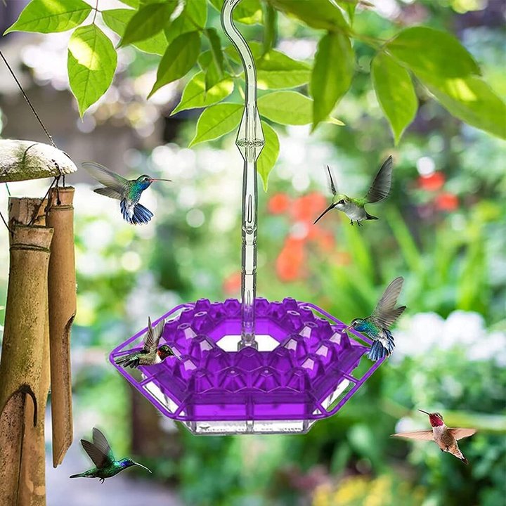 Hummingbird Feeder with Built-in Ant Moat - 30 Feeding Ports, Bee-Proof Design | Perfect Gift for Bird Lovers