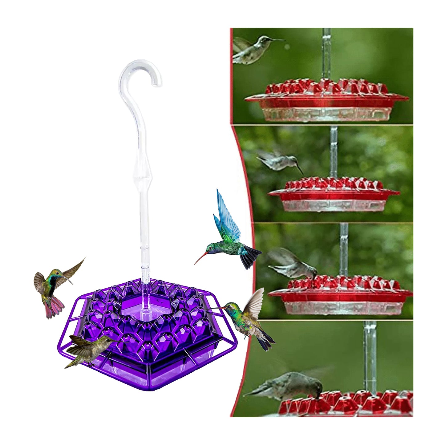 Hummingbird Feeder with Built-in Ant Moat - 30 Feeding Ports, Bee-Proof Design | Perfect Gift for Bird Lovers